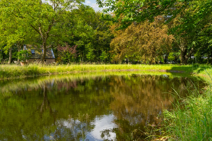 Bekijk foto 46 van Hoefweg 4