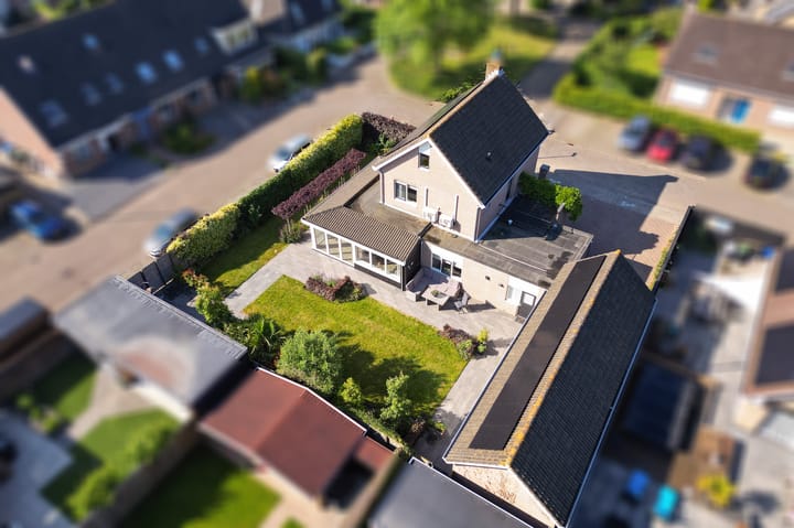 Foto 3 van Narcissenpad 69