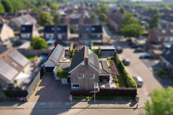 Foto 52 van Narcissenpad 69