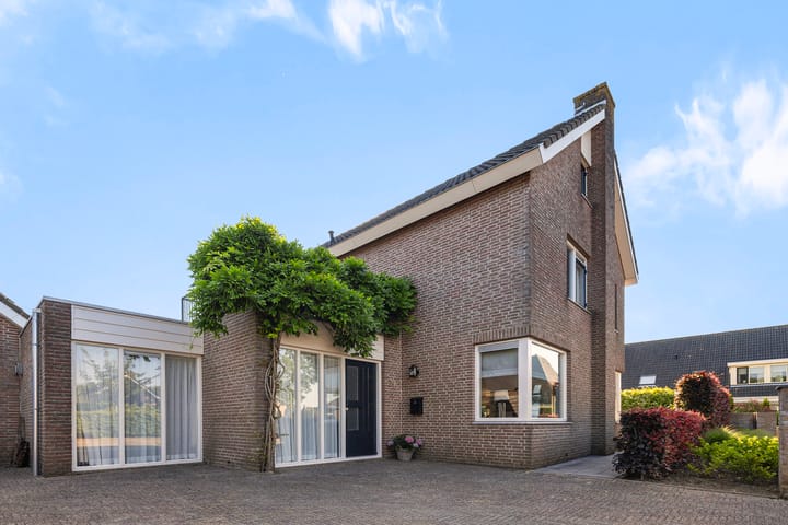 Foto 1 van Narcissenpad 69