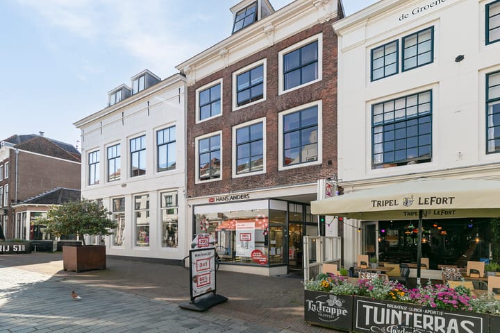 Foto 2 van Langeviele 59