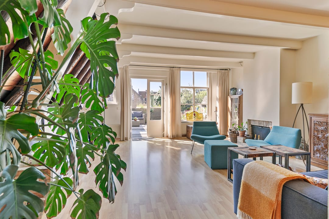 Foto 16 van Langeviele 59