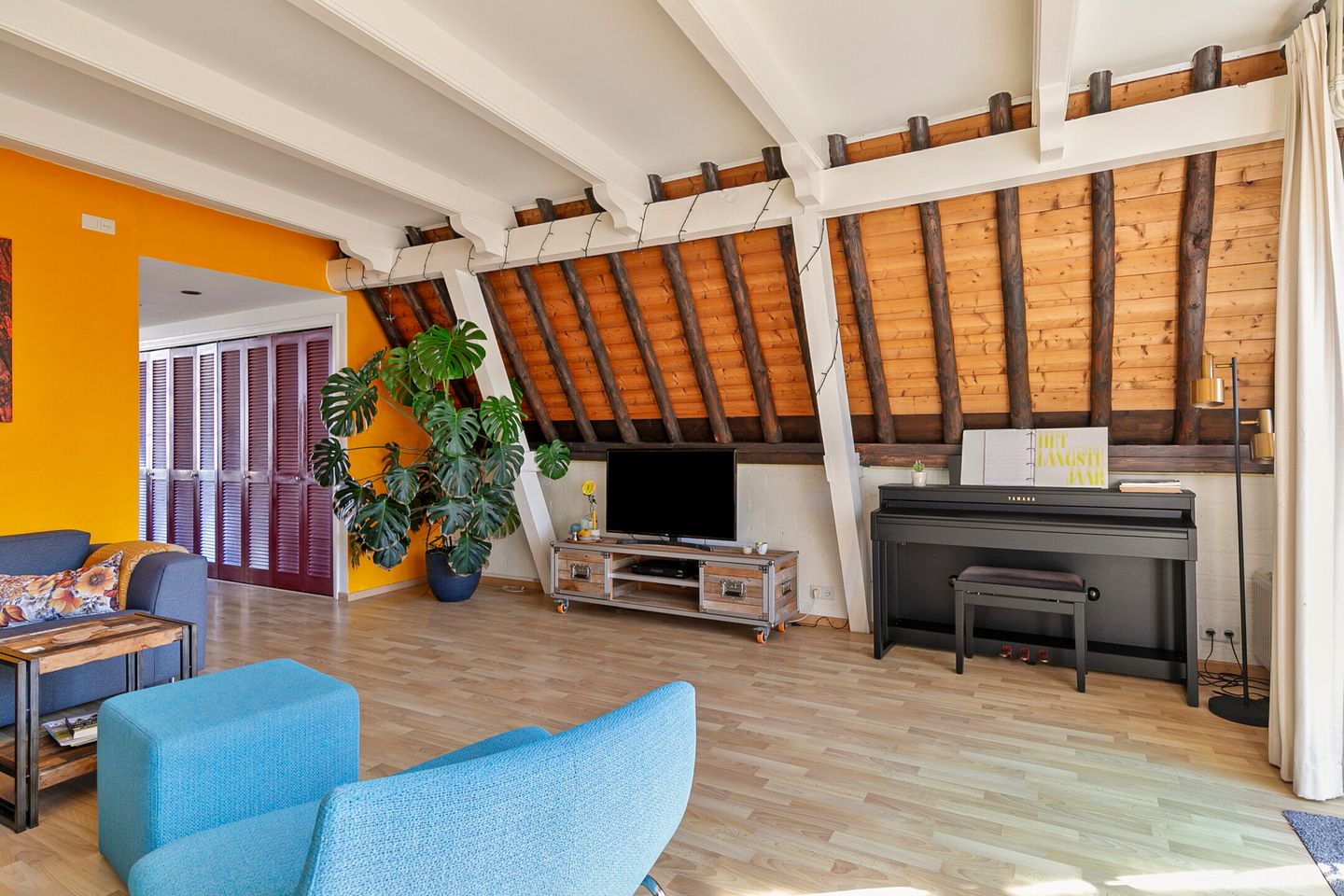 Foto 19 van Langeviele 59