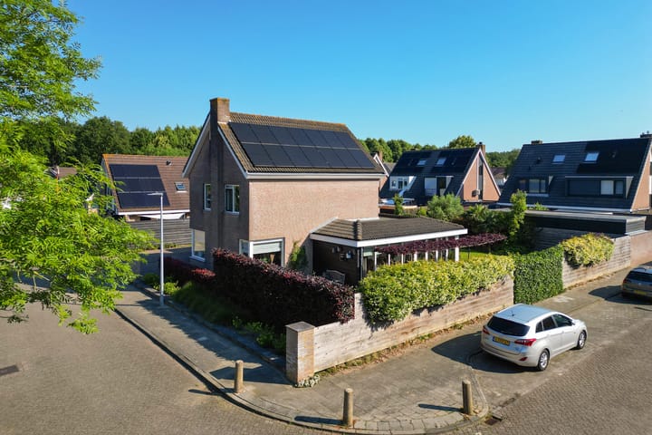 Foto 43 van Narcissenpad 69