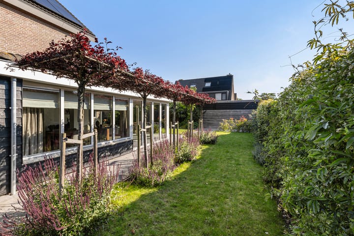 Foto 48 van Narcissenpad 69