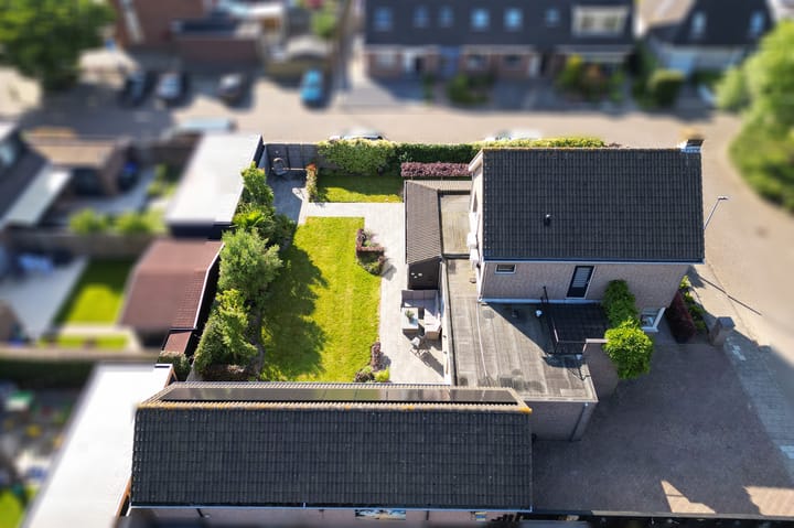 Foto 54 van Narcissenpad 69