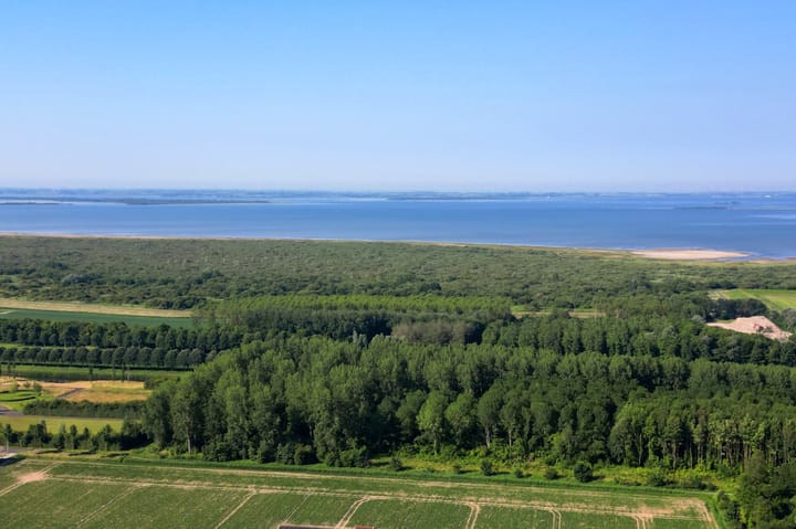 Foto 57 van Narcissenpad 69