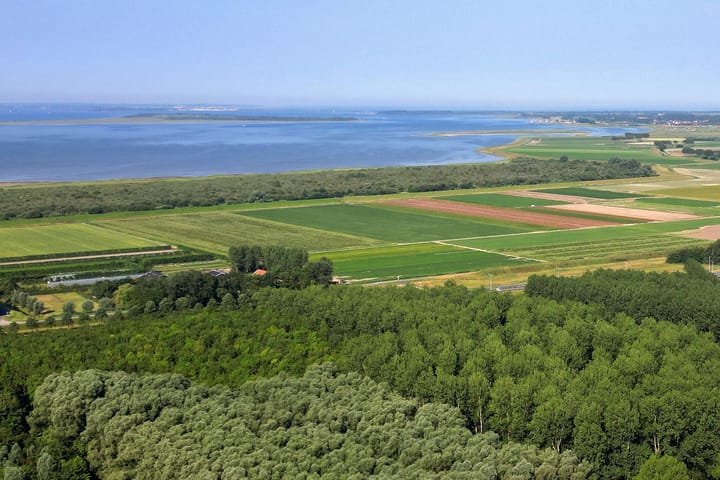 Foto 56 van Narcissenpad 69