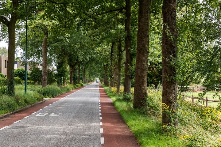 Bekijk foto 38 van Nieuwe Steeg 87