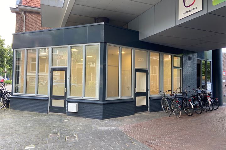 Biltstraat 333, Utrecht