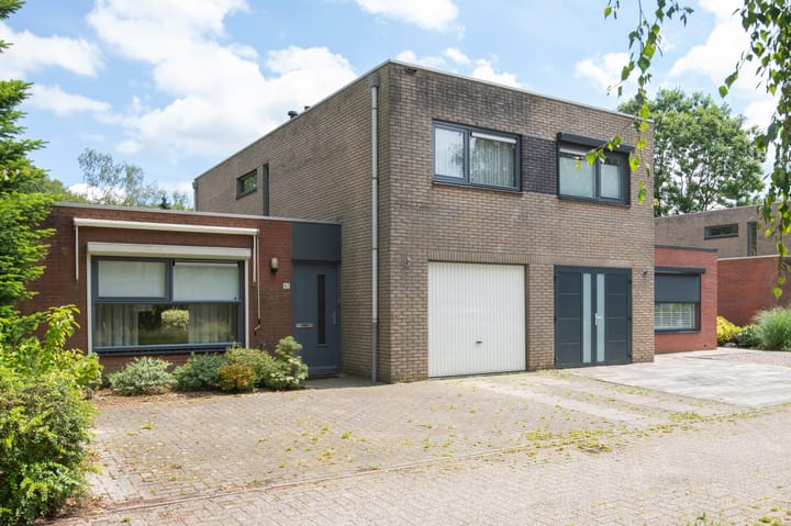 Foto 1 van Sneeuwuil 62