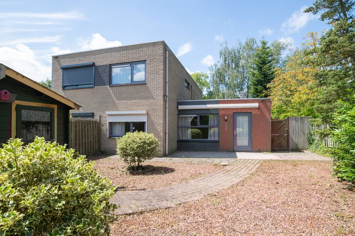 Foto 2 van Sneeuwuil 62