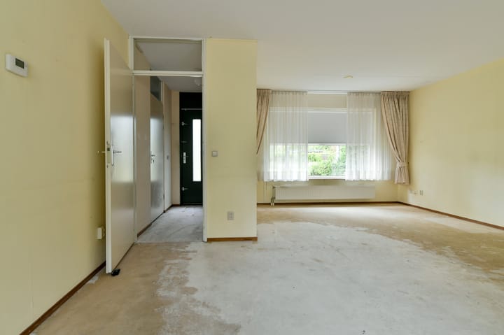 Foto 3 van Sneeuwuil 62