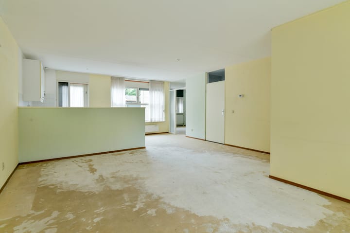 Foto 5 van Sneeuwuil 62