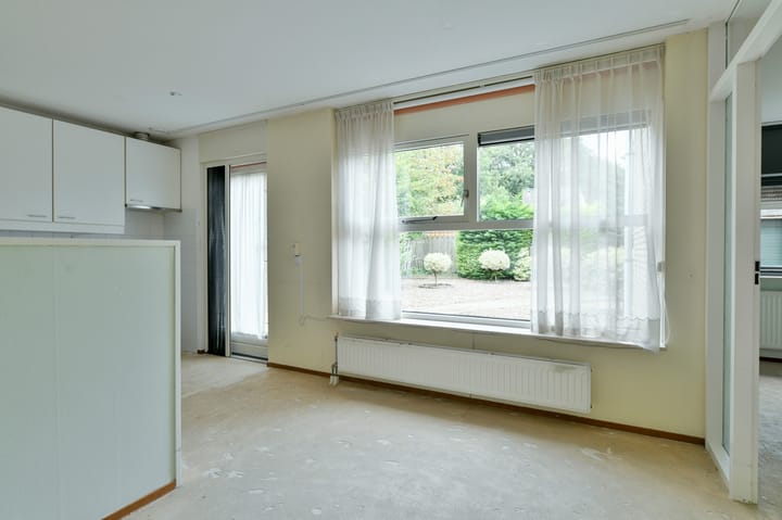 Foto 8 van Sneeuwuil 62