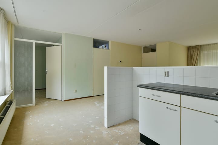 Foto 11 van Sneeuwuil 62