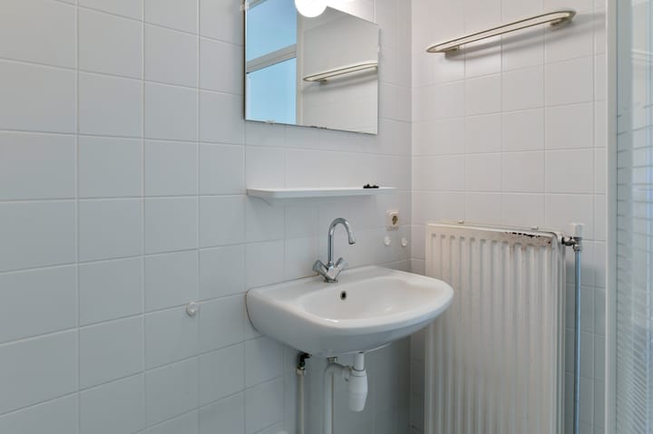 Foto 15 van Sneeuwuil 62