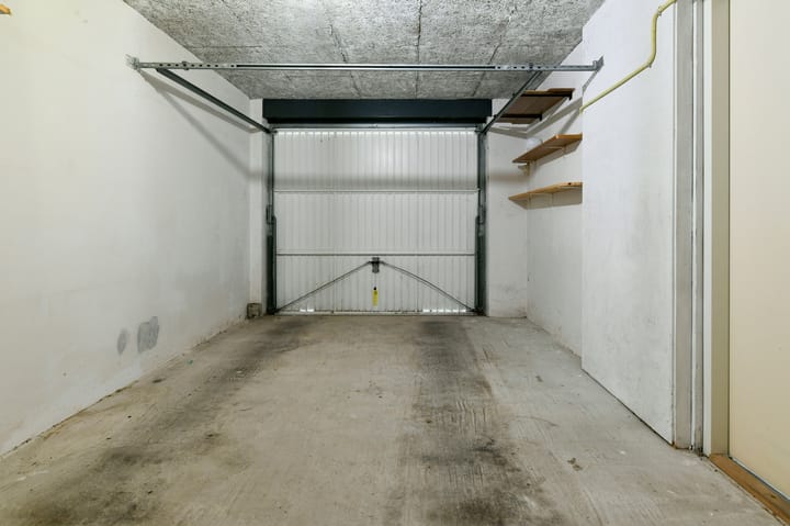 Foto 16 van Sneeuwuil 62