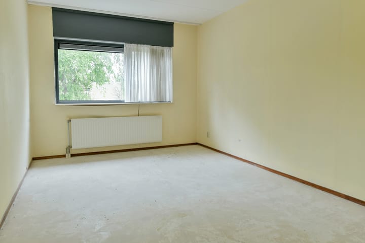 Foto 19 van Sneeuwuil 62