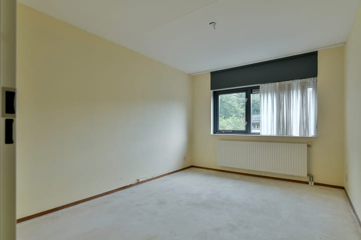 Foto 20 van Sneeuwuil 62