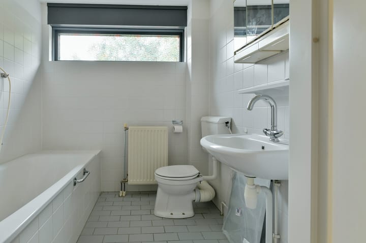 Foto 21 van Sneeuwuil 62