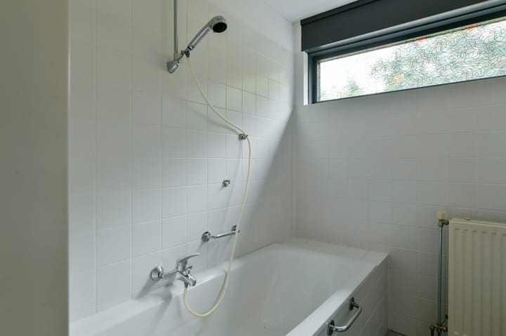 Foto 22 van Sneeuwuil 62