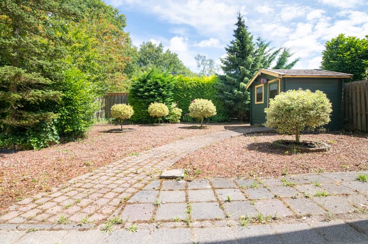 Foto 23 van Sneeuwuil 62