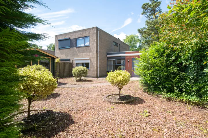 Foto 24 van Sneeuwuil 62