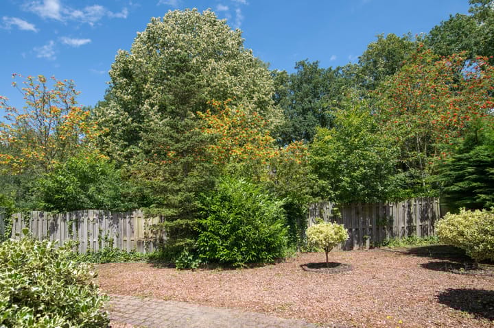 Foto 25 van Sneeuwuil 62