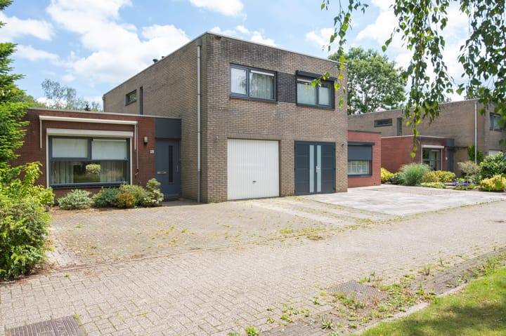 Foto 28 van Sneeuwuil 62