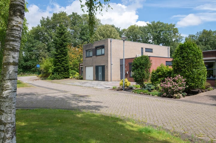 Foto 30 van Sneeuwuil 62