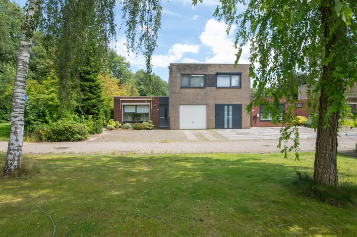 Foto 32 van Sneeuwuil 62