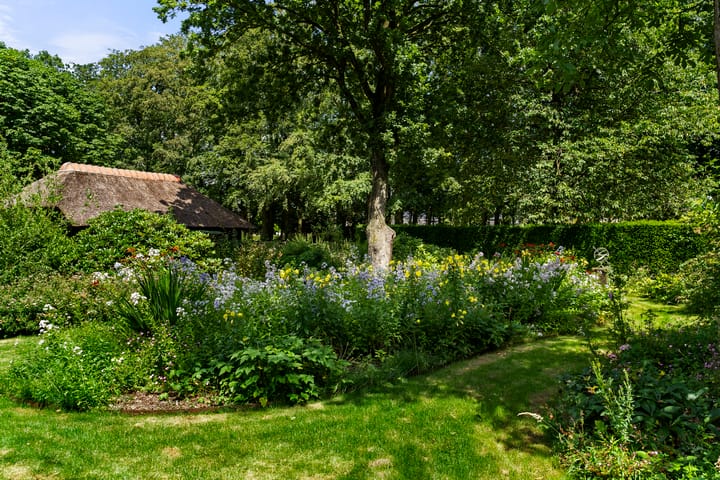 Foto 46 van Edeseweg 206