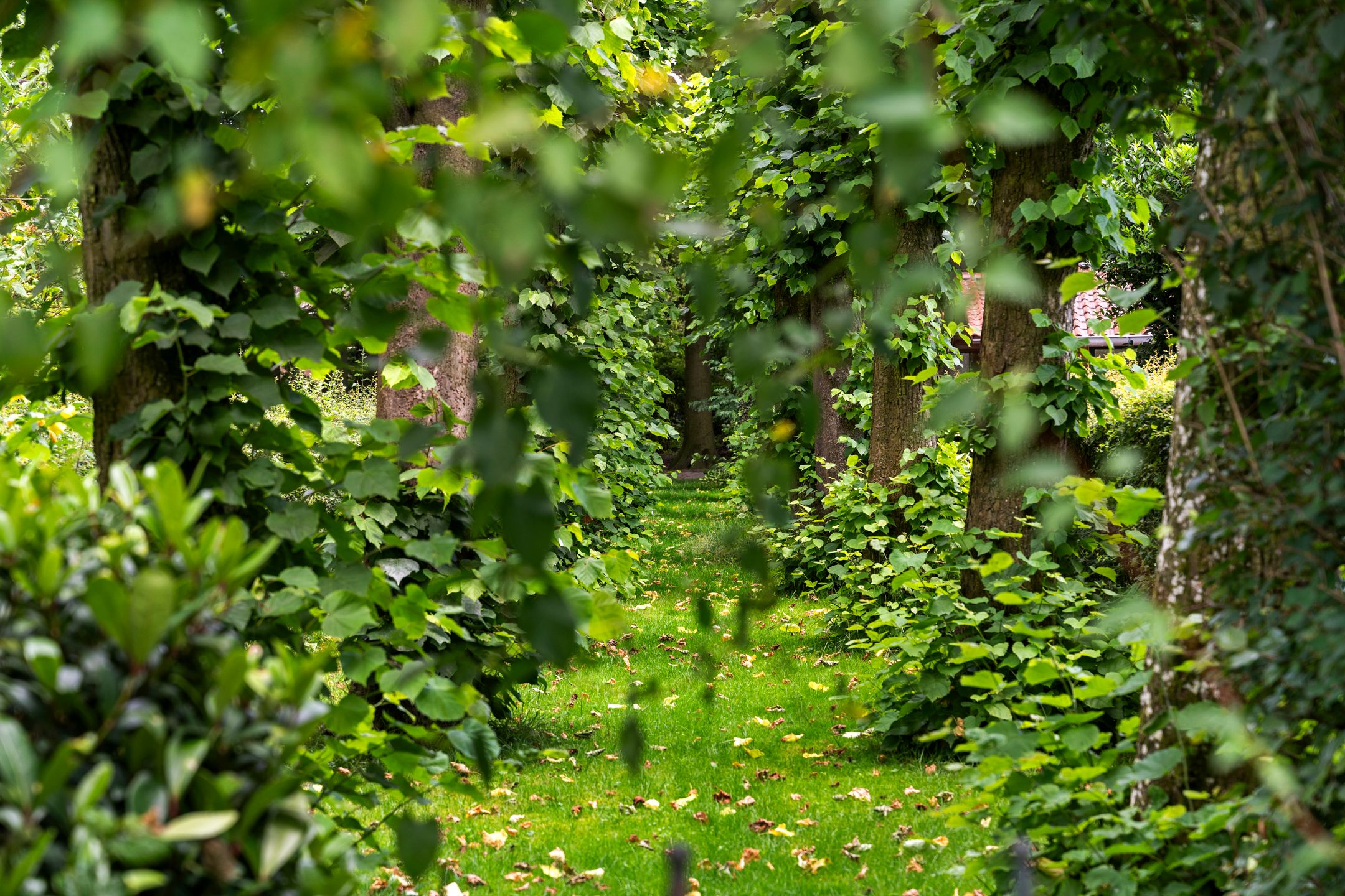 Foto 48 van Edeseweg 206