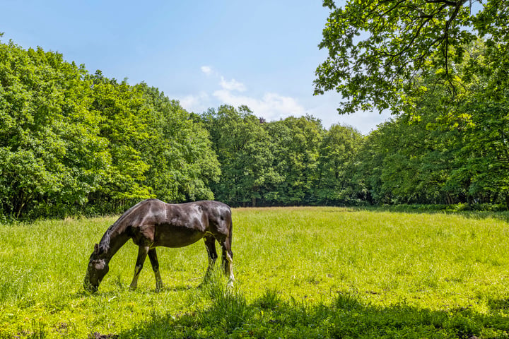 Bekijk foto 31 van Steffenskamp 11