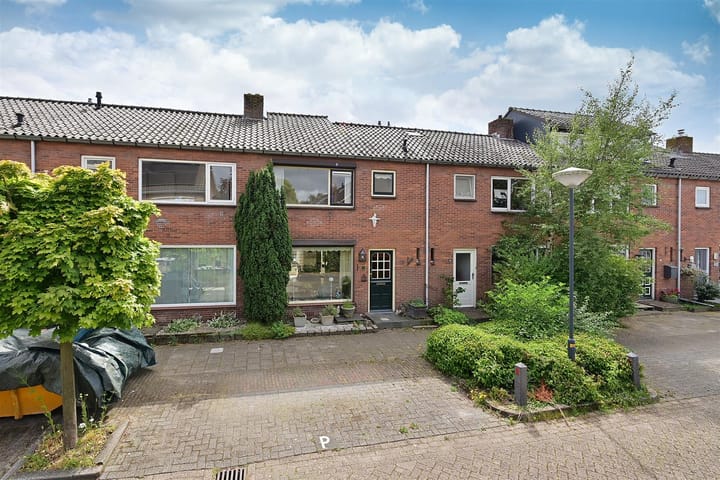 undefined main image