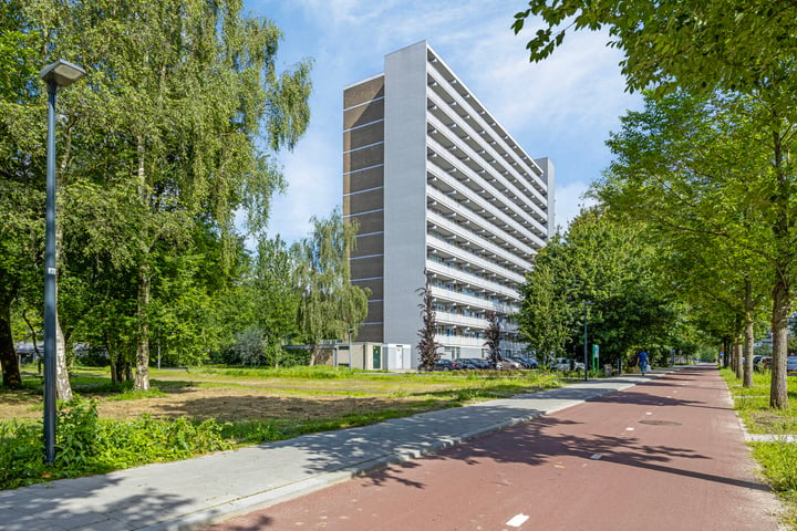 Bekijk foto 3 van Griegplein 51