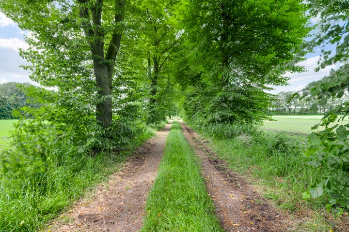 Bekijk foto 39 van Meijelsedijk 177