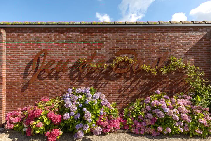 Foto 27 van Nootweg 53-AP11