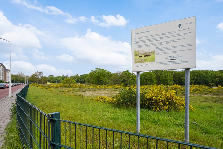 Bekijk foto 30 van Ridderspoorweg 210