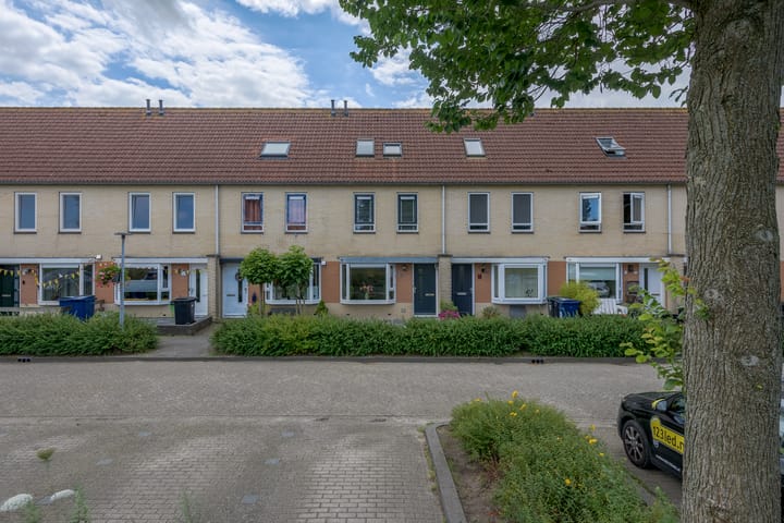 undefined main image