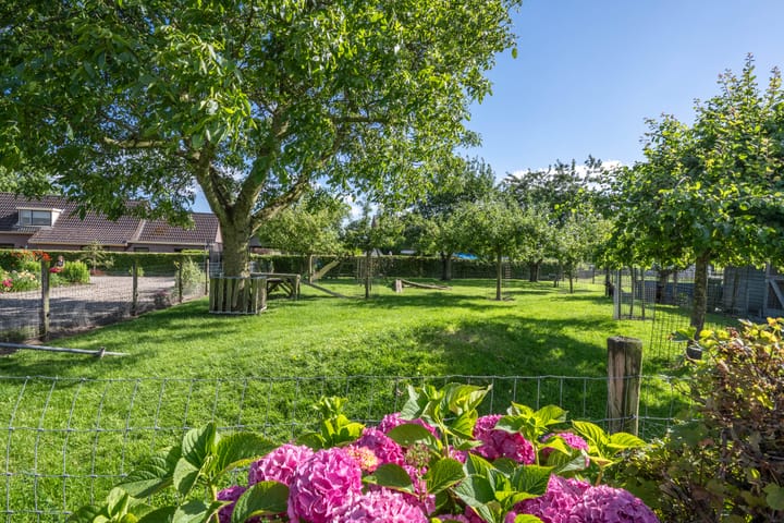 Foto 28 van Achterstraat 4-A