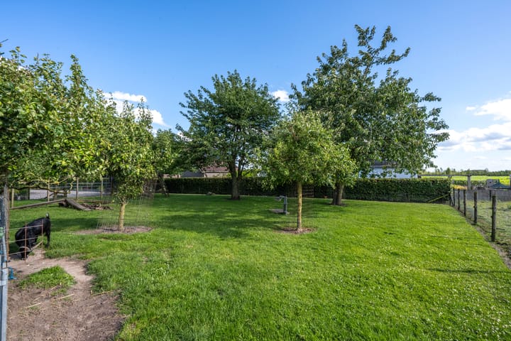 Foto 30 van Achterstraat 4-A