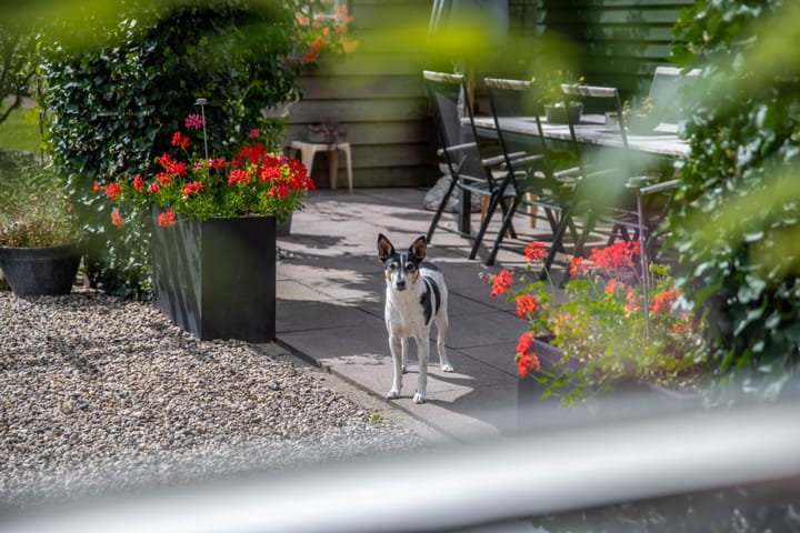 Foto 68 van Achterstraat 4-A