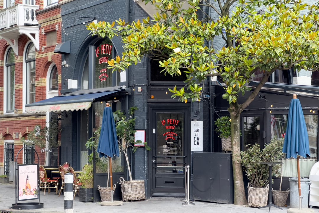 Foto 46 van Van Breestraat 165-2