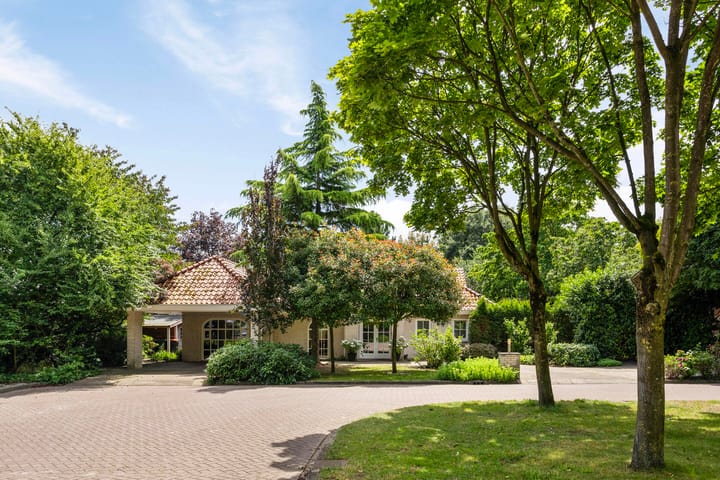 Foto 1 van Distel 17