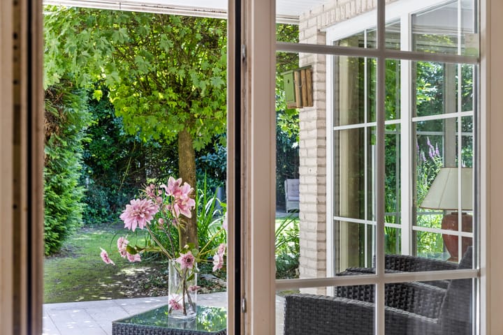 Foto 15 van Distel 17