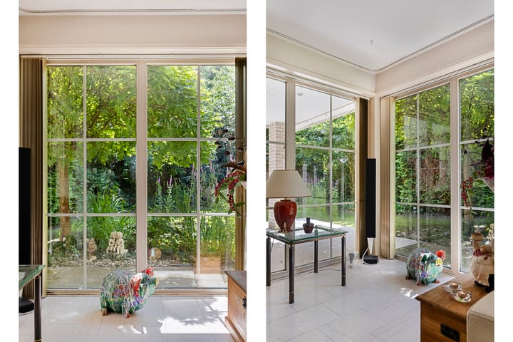 Foto 16 van Distel 17