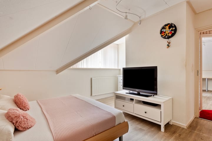 Foto 36 van Distel 17