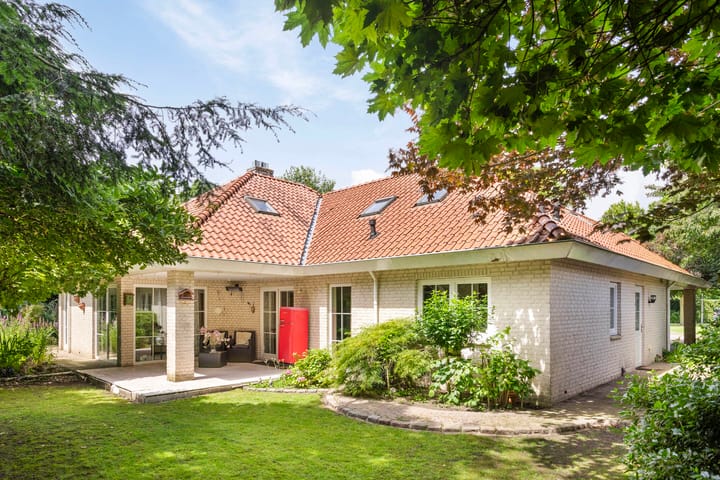 Foto 46 van Distel 17